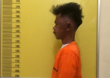 Tak Direstui Jadi Menantu, Pemuda di Rohul Bunuh Mertua Pakai Dodos Sawit Hingga Tewas