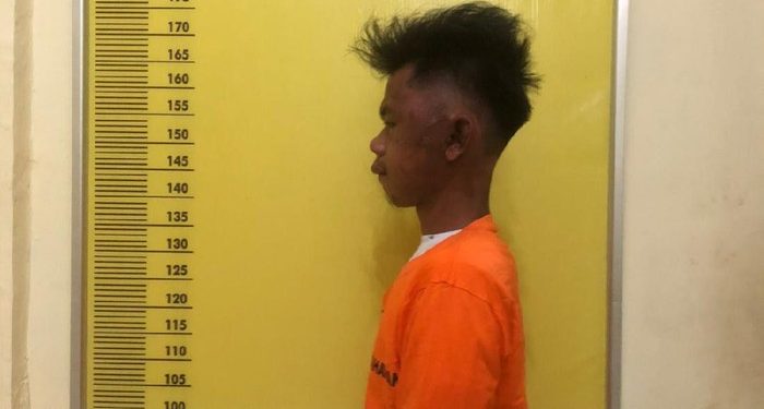 Tak Direstui Jadi Menantu, Pemuda di Rohul Bunuh Mertua Pakai Dodos Sawit Hingga Tewas