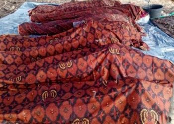 Pertambangan Emas Tradisional di Kotawaringin Kalteng Lonsor, Enam Pekerja Tewas Tertimbun