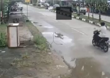 Ibu di Kalimantan Korbankan Nyawanya Ditabrak Truk saat Lihat Anaknya Nyebrang Jalan