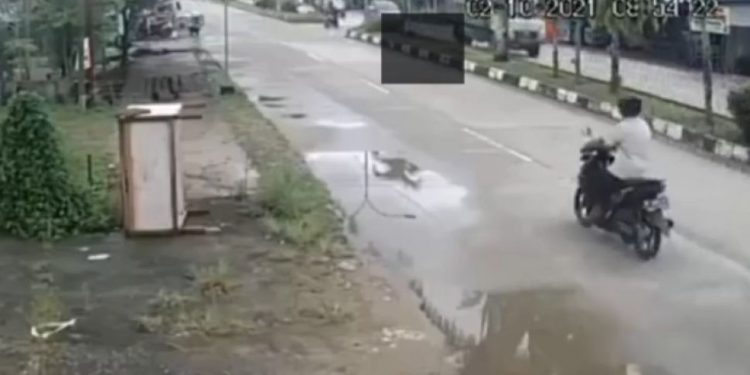 Ibu di Kalimantan Korbankan Nyawanya Ditabrak Truk saat Lihat Anaknya Nyebrang Jalan