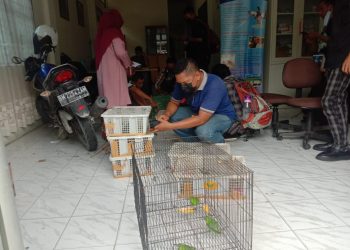 Balai BKSDA Riau Gagalkan Transaksi Penjualan Satwa Burung Yang Dilindungi