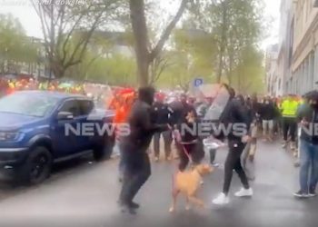 Tendang dan Terjang Anjing Saat Demonstrasi, Pria Ini Didakwa setelah Desakan Masyarakat