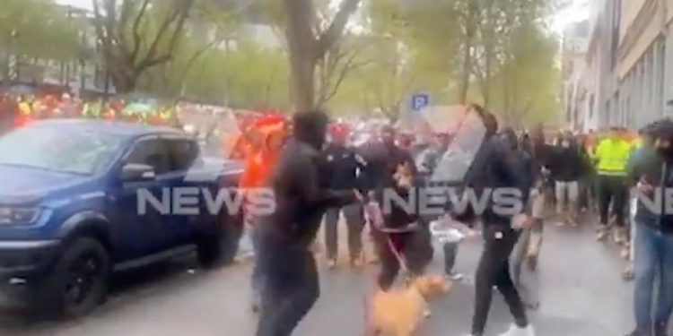 Tendang dan Terjang Anjing Saat Demonstrasi, Pria Ini Didakwa setelah Desakan Masyarakat