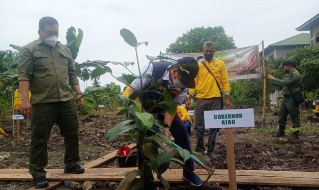 Acara penyerahan bantuan bibit tanaman di Pesantren