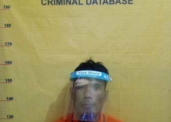 Curi Handphone Seprofesi Saat Tidur, Seorang Nelayan di Rohil Ditangkap Polisi