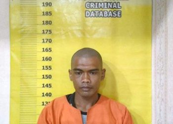 2 Pelaku Pencurian Sawit PT Salim Ivomas Berhasil Dibekuk Polres Rohil