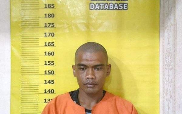 2 Pelaku Pencurian Sawit PT Salim Ivomas Berhasil Dibekuk Polres Rohil