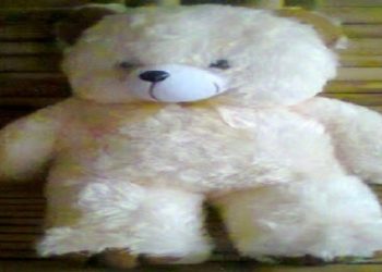 Pria di Banyuwangi Diduga Gauli Boneka Beruang Demi Penuhi Hasrat Seksual, Warga Temukan Sperma di Sekitar Miss V Boneka