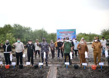Gubri Syamsuar Tanam Bakau di Bengkalis