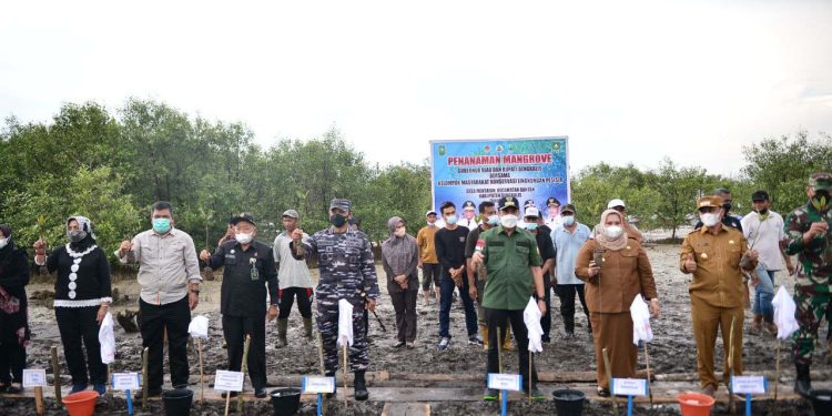 Gubri Syamsuar Tanam Bakau di Bengkalis