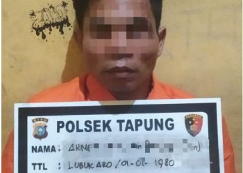 Curi Truk Bermuatan Sawit, Pelaku Ditangkap Polisi saat Truk Terguling