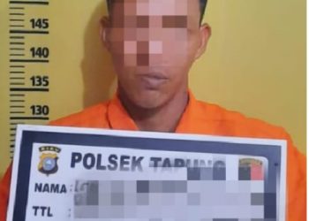 Pernah Diproses Tipiring Nyuri Sawit PTPN-V, Pelaku Tertangkap Kembali dan Diserahkan ke Polsek Tapung