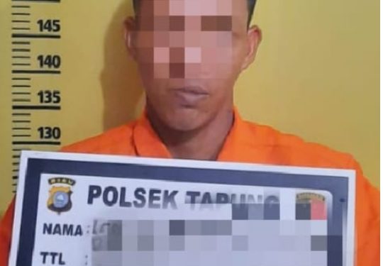 Pernah Diproses Tipiring Nyuri Sawit PTPN-V, Pelaku Tertangkap Kembali dan Diserahkan ke Polsek Tapung