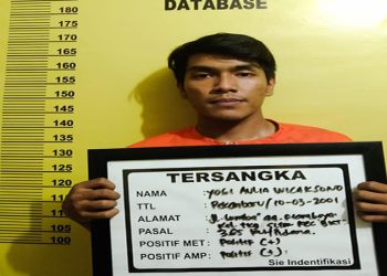 Polsek Bukit Raya Ringkus Dua Pelaku Curas