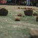 Lakukan Pengeroyokan Tujuh Orang Ditangkap Polres Cirebon Kota