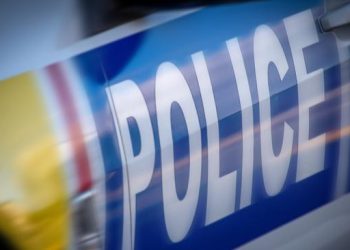 Mayat Bayi Ditemukan di Halaman Belakang di Selandia Baru