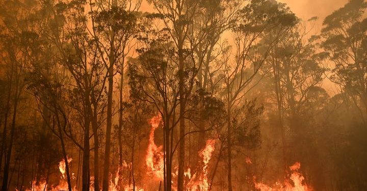 Polisi Selidiki Kebakaran Sepanjang Tahun 2020 di Sydney, Diyakini Disengaja
