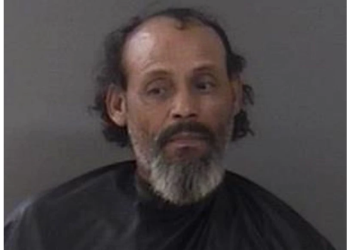 Pria Florida Serang Kuda Secara Seksual Berkali-kali, Tertangkap Kamera