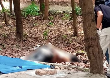 Mengegerkan, Sesosok Mayat Ditimbun Ranting Pohon di Hutan Kota Patriot Bina Bangsa Bekasi