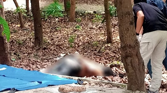 Mengegerkan, Sesosok Mayat Ditimbun Ranting Pohon di Hutan Kota Patriot Bina Bangsa Bekasi
