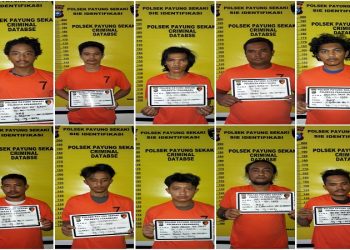 Maling Kabel PLN di Jalan Siak II Diringkus Polsek Payung Sekaki, Ini Tampangnya