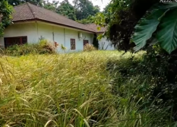 Rumah Mewah Bekas Pembunuhan Satu Keluarga Terbengkalai, Barangnya Masih Utuh