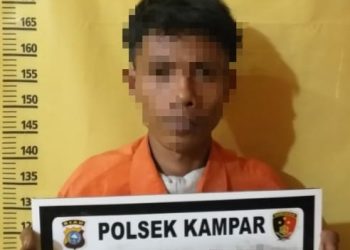 Belum Kapok 3 Kali Keluar Masuk Penjara, Residivis Asal Kampar Kembali Ditangkap Polisi Kasus Pencurian Handphone