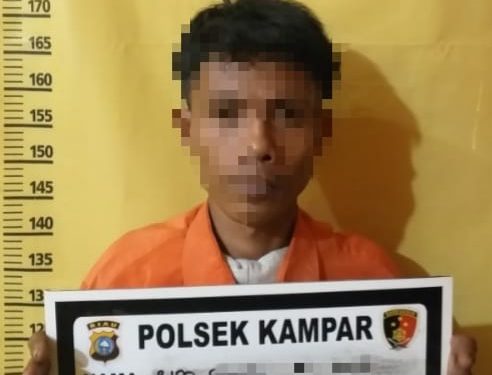 Belum Kapok 3 Kali Keluar Masuk Penjara, Residivis Asal Kampar Kembali Ditangkap Polisi Kasus Pencurian Handphone