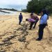 Nelayan dan pariwisata Dirugikan, Limbah Minyak Kembali Cemari Pantai Pulau Bintan Kepri