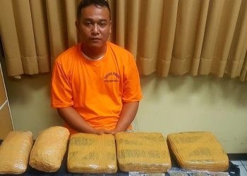 Polda Bali Tangkap Kurir Ganja 5 Kilogram, Pelaku Mengaku Dikendalikan Napi Lapas Kerobokan