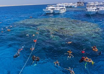 Diduga Tersapu Ombak di Laut Merah saat Menyelam, Perawat Asal Inggris Tak Kunjung Ditemukan