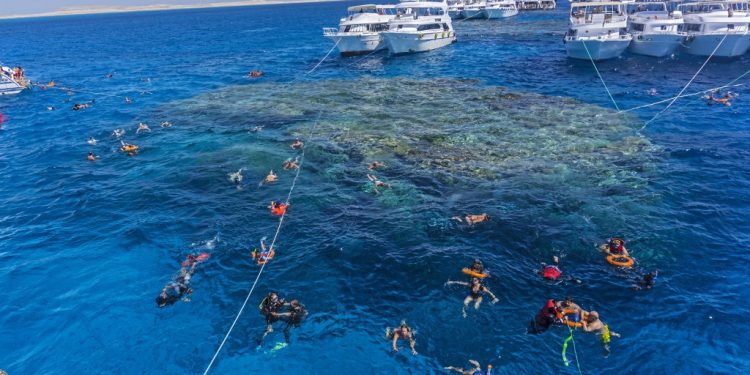 Diduga Tersapu Ombak di Laut Merah saat Menyelam, Perawat Asal Inggris Tak Kunjung Ditemukan
