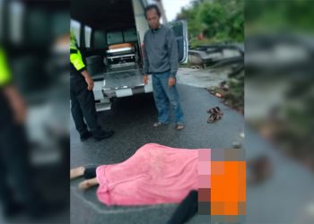 Tabrak Pohon Tumbang, Pengemudi Motor Tewas Ditempat