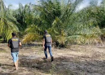 Mobil Pengacara Perempuan di Sumsel Dihadang dan Diserang OTK Saat Tinjau Kebun Sawit