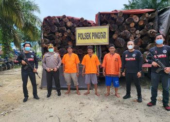 Tiga Truk Pengangkut Kayu Ilegal dari GSK Diamankan Polisi