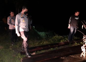 Polres Inhu Ungkap Ilegal Logging di kawasan Hutan Lindung Kerumutan