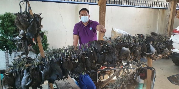 Sedikitnya 189 Burung Langka Berhasil Diselamatkan Dari Pasar di Bulacan