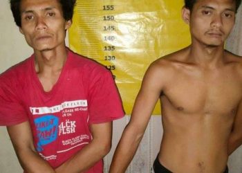 Tertangkap Tangan Curi Buah Sawit, 2 Pelaku Maling Sawit Digiring ke Polres Rohil
