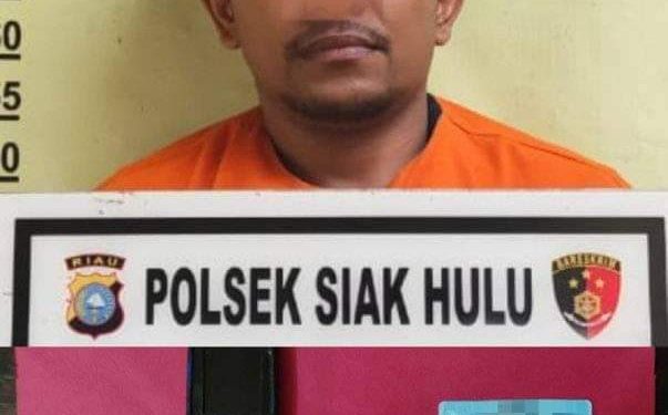 Polsek Siak Hulu Tangkap Pengedar Sabu di Desa Kubang Jaya