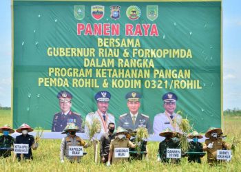 Gubernur Syamsuar Panen Raya di Desa Rokan Baru Pesisir Rohil