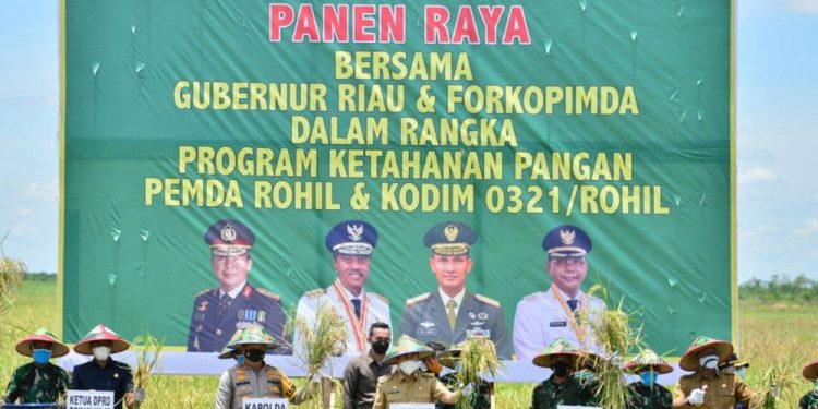 Gubernur Syamsuar Panen Raya di Desa Rokan Baru Pesisir Rohil