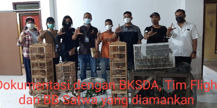 Polres Kampar Selamatkan Puluhan Burung Serindit Melayu