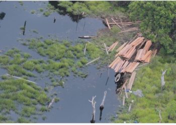 Patroli Udara, Kapolda Riau Temukan Aktivitas Ilegal Logging