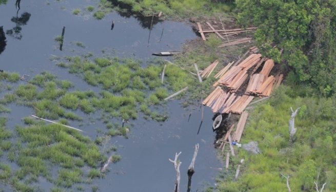 Patroli Udara, Kapolda Riau Temukan Aktivitas Ilegal Logging