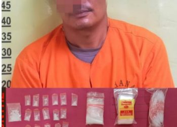 Simpan 17 Paket Sabu, Warga Desa Buluh Nipis ini Ditangkap Unit Reskrim Polsek Siak Hulu