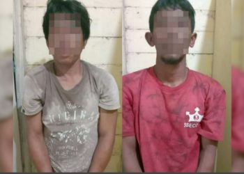Maling Sarang Walet di Pelalawan Apes, Pintu Ditutup Pemilik dari Luar lalu Teriak Minta Tolong