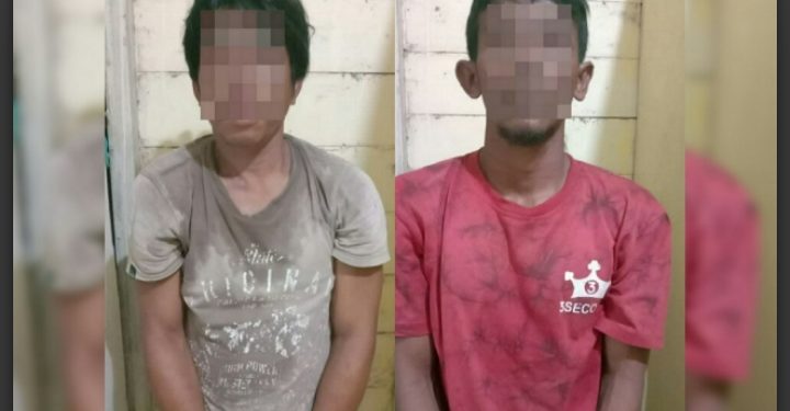 Maling Sarang Walet di Pelalawan Apes, Pintu Ditutup Pemilik dari Luar lalu Teriak Minta Tolong