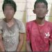 Maling Sarang Walet di Pelalawan Apes, Pintu Ditutup Pemilik dari Luar lalu Teriak Minta Tolong