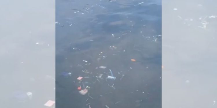 Video yang Menunjukkan Sampah Laut di Bali Menjadi Viral di Media Sosial